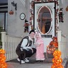 Fall Means Colour And Halloween!